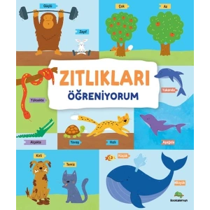 Zıtlıkları Öğreniyorum