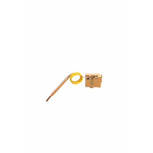 Termostat