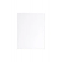 25x35 cm Tuval Arkadan Zımbalı Tuval Astarlı Tuval