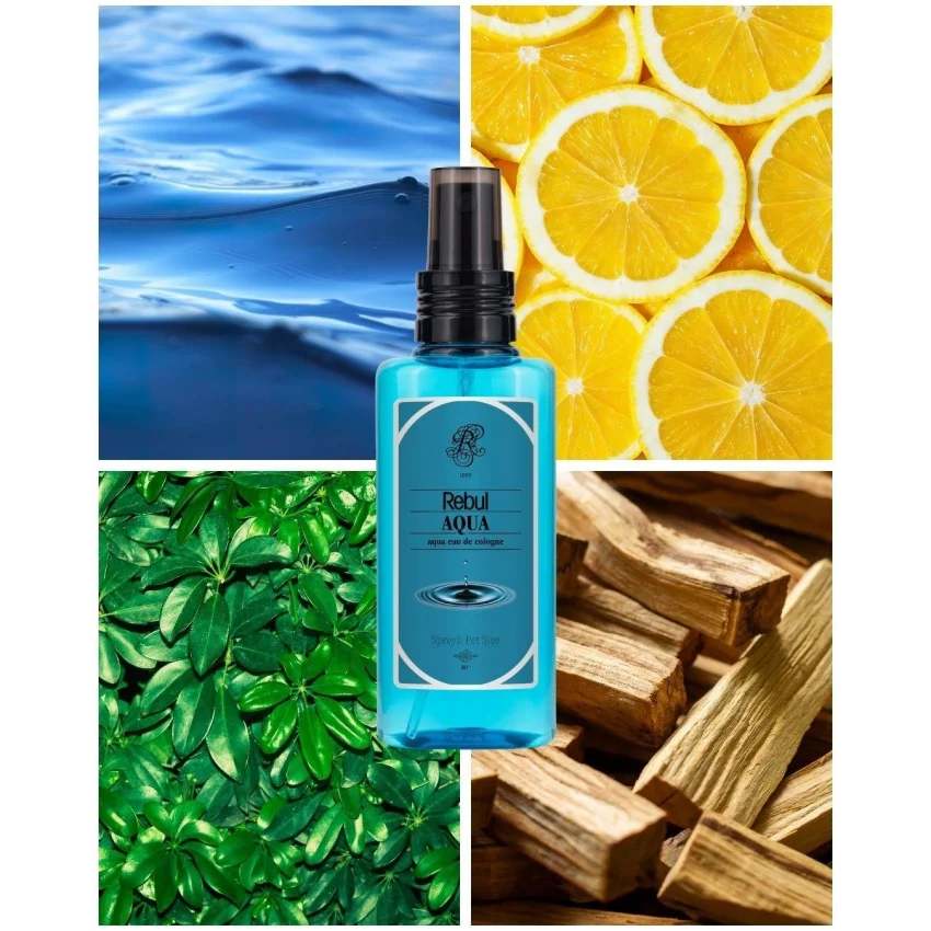 Rebul Aqua EDC Kolonya Sprey Pet Şişe 125 ml