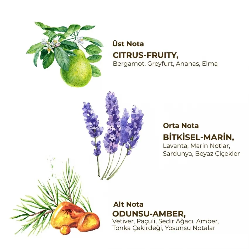 Eyüp Sabri Tuncer Erkek Roll On Deodorant Active 75 ml