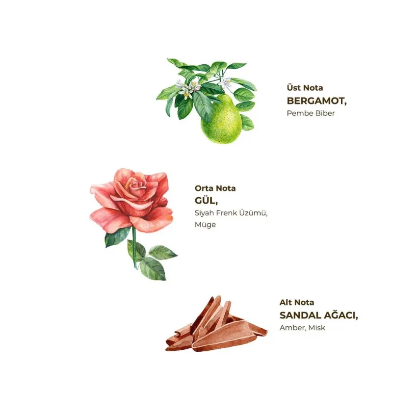 Eyüp Sabri Tuncer Manolya Çiçeği Kolonyası, Pet Şişe, 400 ml