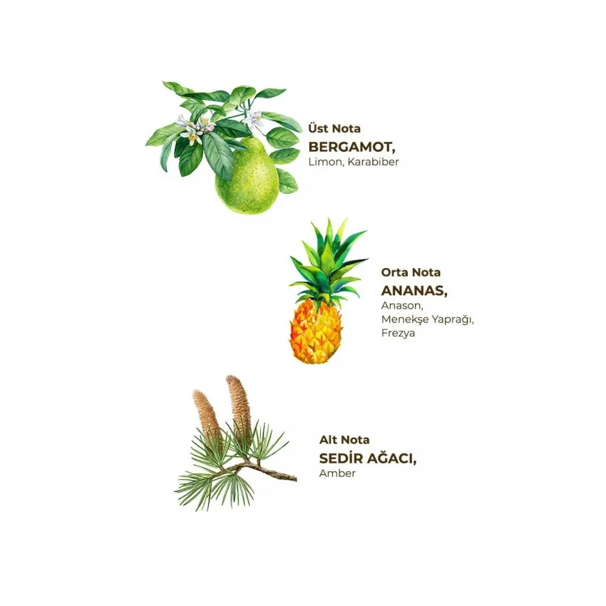 Eyüp Sabri Tuncer Okyanus Kolonyası, Kilitli Kapak, 1 lt