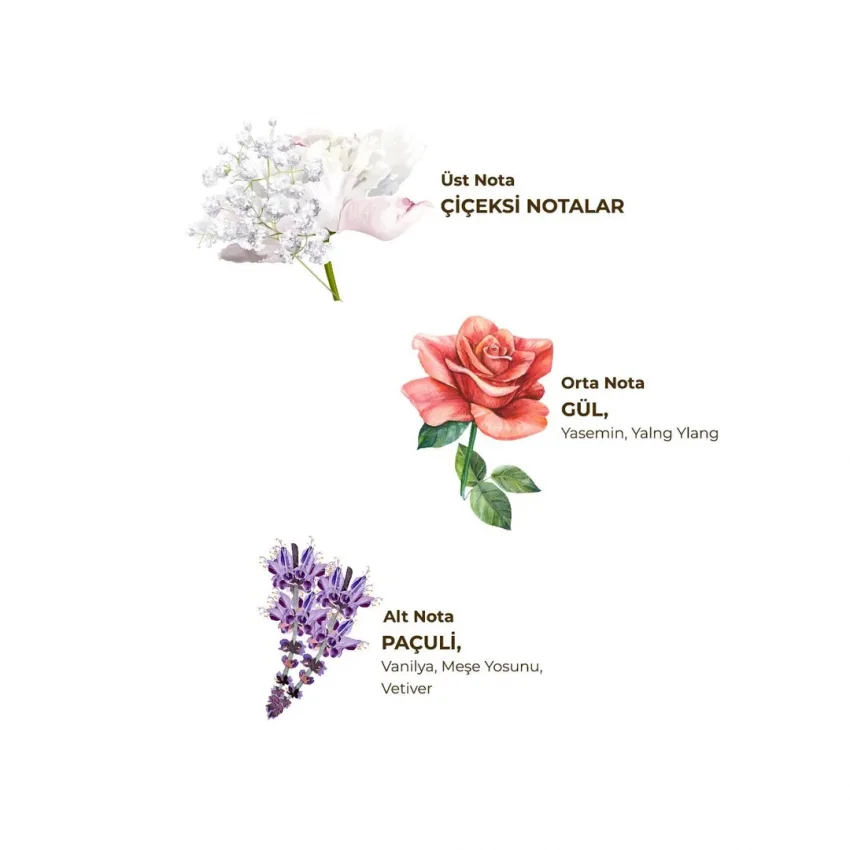 Eyüp Sabri Tuncer Paris Gecesi Kolonyası, Cam Şişe, 200 ml