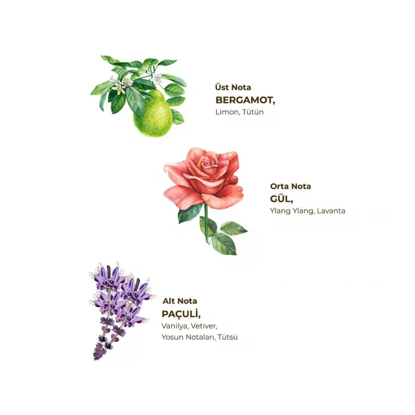 Eyüp Sabri Tuncer Tütün Kolonyası, Cam Şişe, 400 ml