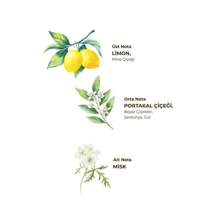 Eyüp Sabri Tuncer Verbena & Zinde Limon Kolonyası, Pet Şişe, 400 ml