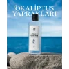 Rebul Azure Noir EDC Kolonya Cam Şişe 250 ml