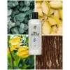 Rebul Azure Noir EDC Kolonya Cam Şişe 250 ml
