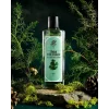 Rebul Pine Forest EDC Kolonya Cam Şişe 250 ml