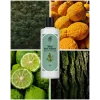 Rebul Pine Forest EDC Kolonya Cam Şişe 250 ml