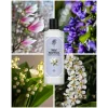 Rebul Magnolia EDC Kolonya Cam Şişe 250 ml
