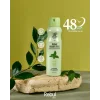 Rebul Green Tea Kadın Deodorant 48 Saat Etkili 150 ml