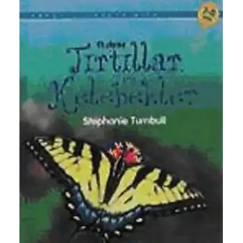 Tırtıllar ve Kelebekler