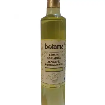 Biotama Limon Sarımsak Zencefil Sirkesi 500 ML