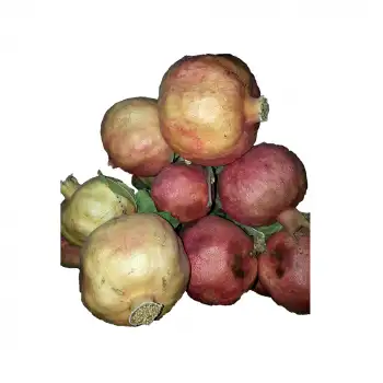 Meşhur Siirt Zivzik Narı 1 Kg