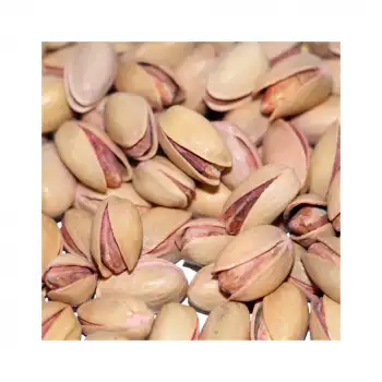 Siirt Fıstığı Ana Çıtlak Kavrulmuş Net 450 Gr Tuzlu 1-Kalite