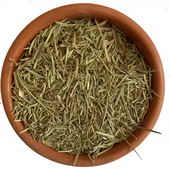 Biberiye