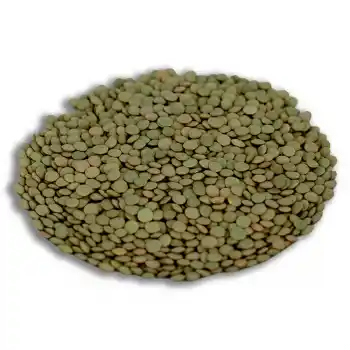 Yeşil Mercimek