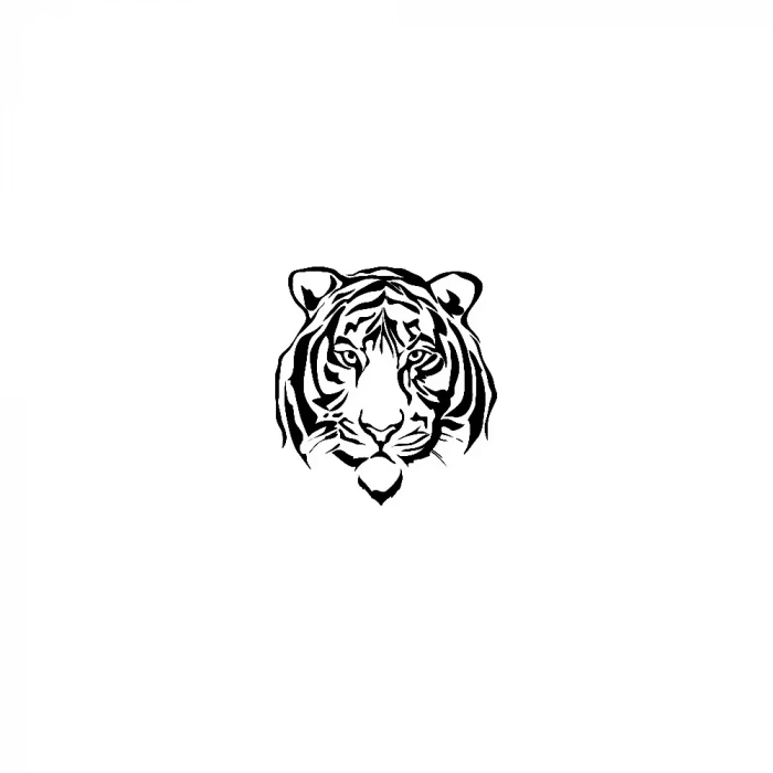 A4 SERİSİ STENCIL AS454 21X29