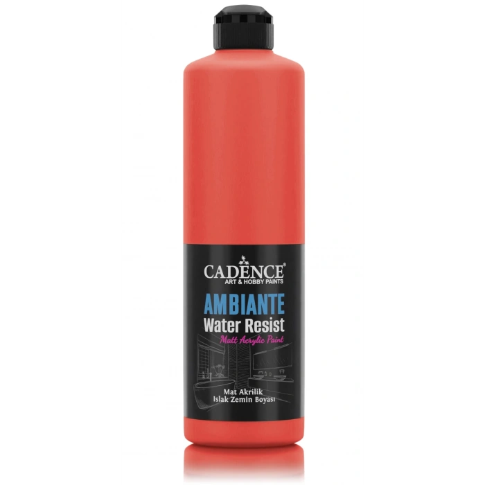 AMBIENTE SUYA DAY. AKR. BOYA AW-27 NAR ÇİÇEĞİ 500ML + KATALİZÖR 20GR