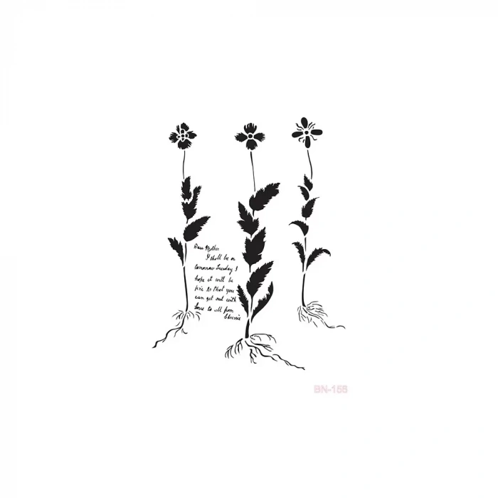 BN SERİSİ STENCIL BN156 25X36