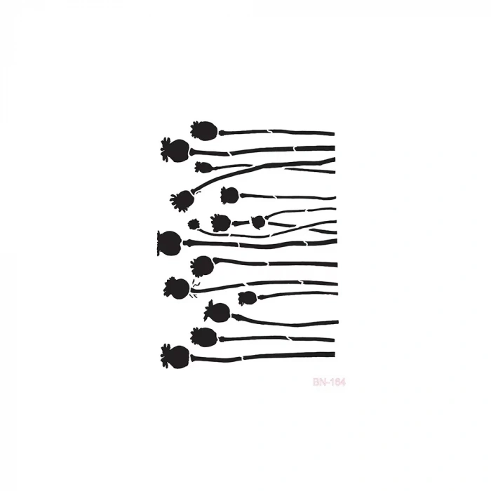 BN SERİSİ STENCIL BN164 25X36