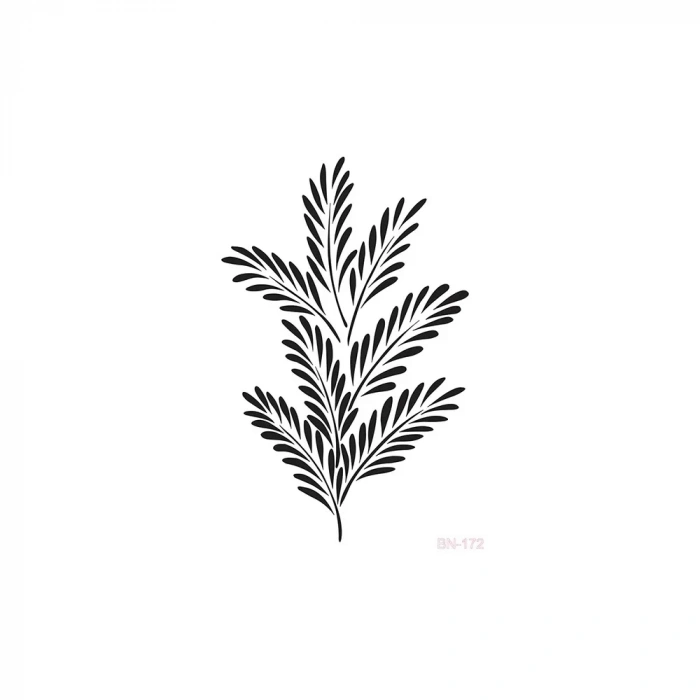 BN SERİSİ STENCIL BN172 25X36