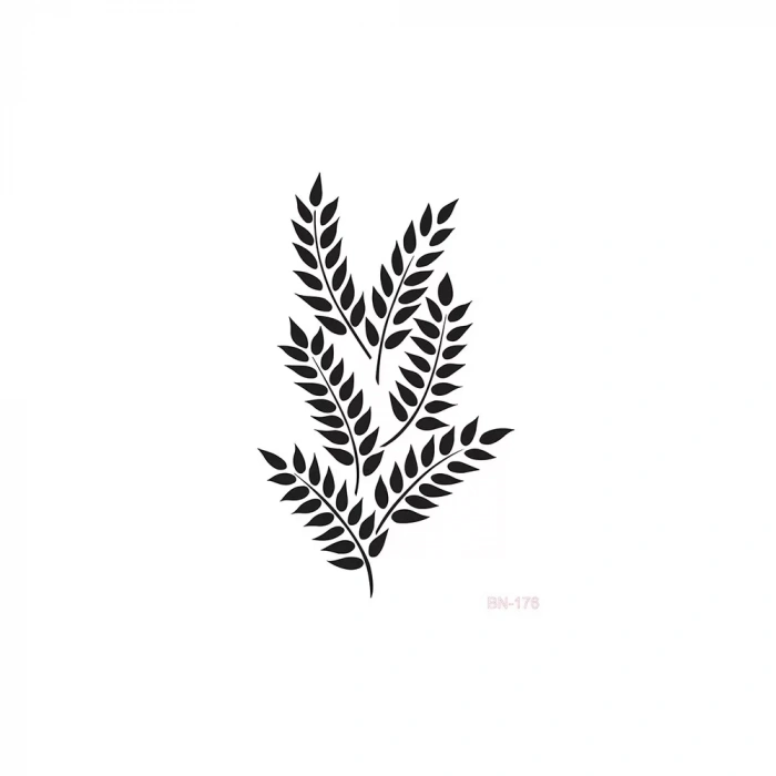 BN SERİSİ STENCIL BN177 25X36