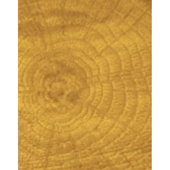 COLOUR ON RENKLİ VERNİK CV-01 SARI 90ML