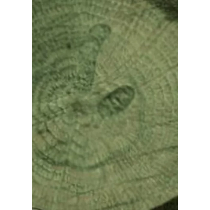 COLOUR ON RENKLİ VERNİK CV-11 YEŞİL 90ML