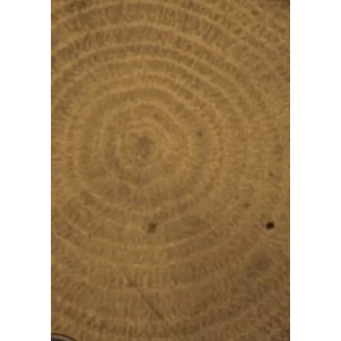 COLOUR ON RENKLİ VERNİK CV-12 AÇIK CEVİZ 90ML