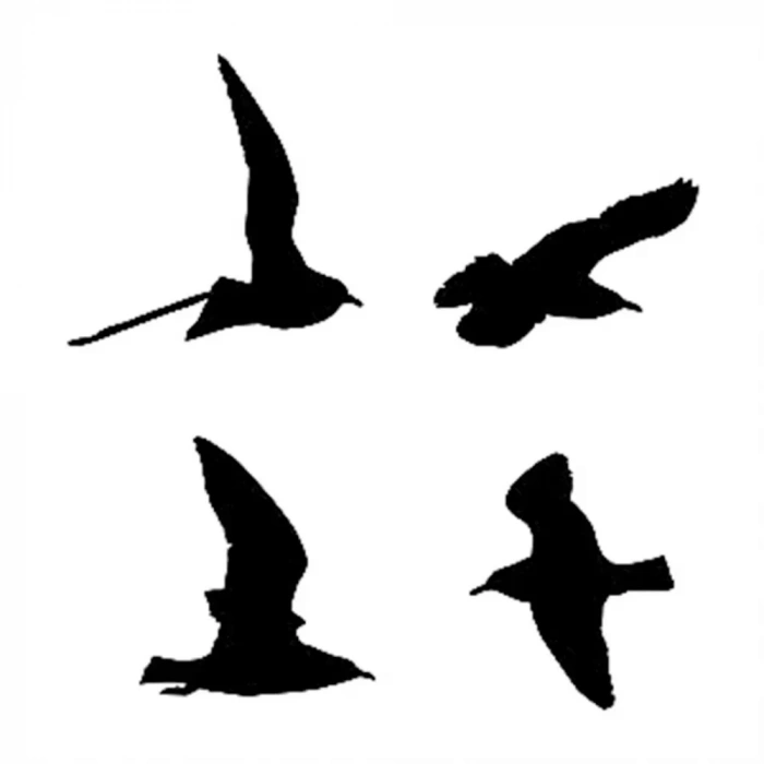 D SERİSİ STENCIL D1004 15X20