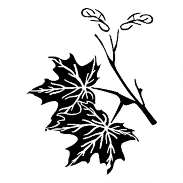 D SERİSİ STENCIL D240 15X20