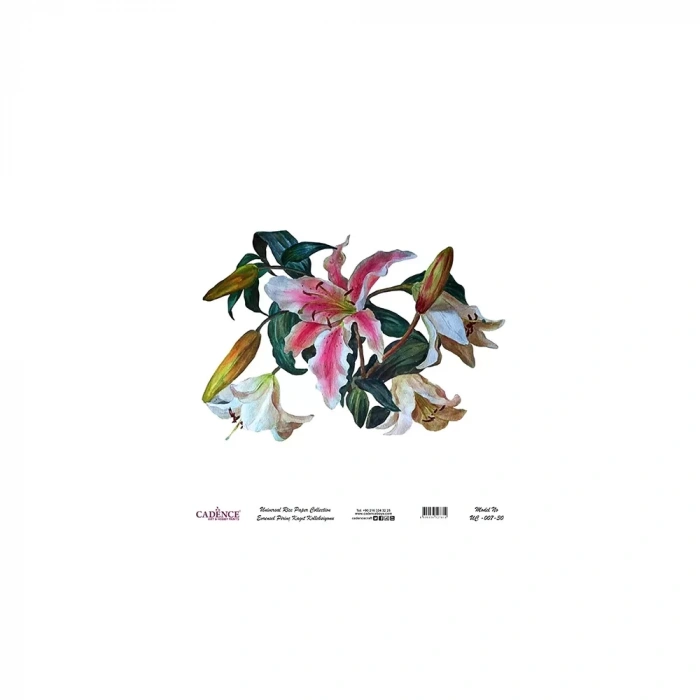 EVRENSEL PİRİNÇ KAĞIT KOLEKSİYON BEYAZ ZEMİN UC-007 30X30