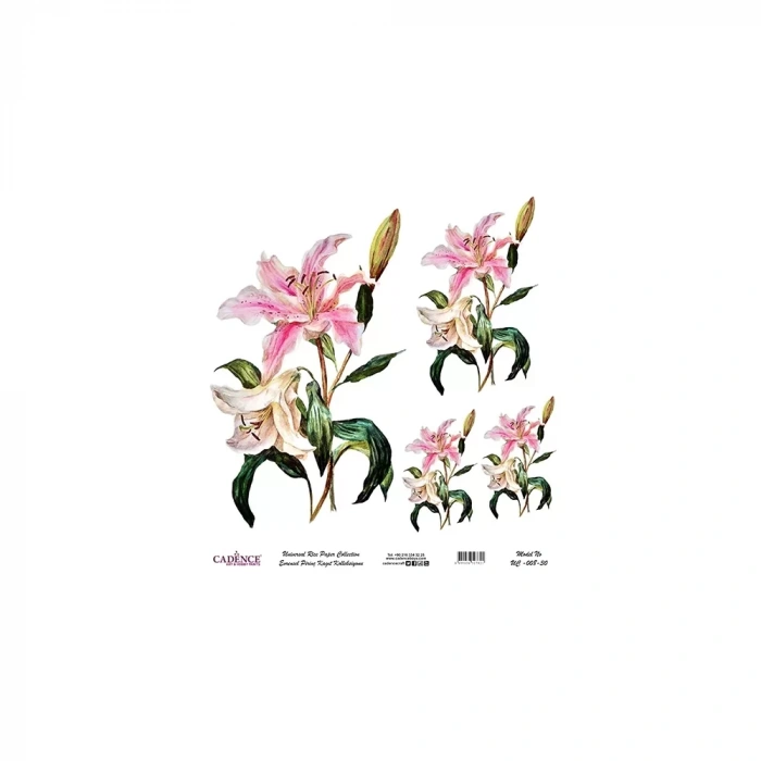 EVRENSEL PİRİNÇ KAĞIT KOLEKSİYON BEYAZ ZEMİN UC-008 30X30