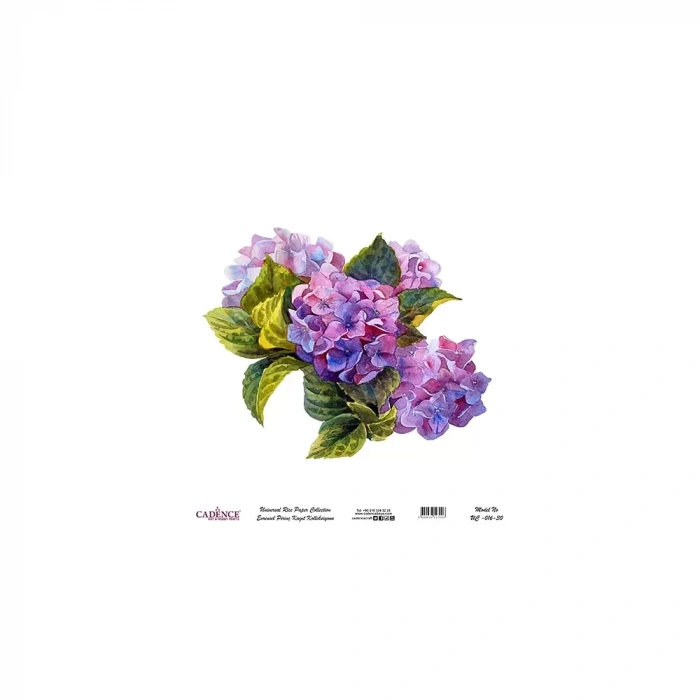 EVRENSEL PİRİNÇ KAĞIT KOLEKSİYON BEYAZ ZEMİN UC-016 30X30