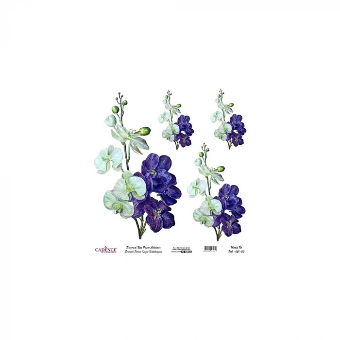 EVRENSEL PİRİNÇ KAĞIT KOLEKSİYON BEYAZ ZEMİN UC-021 30X30