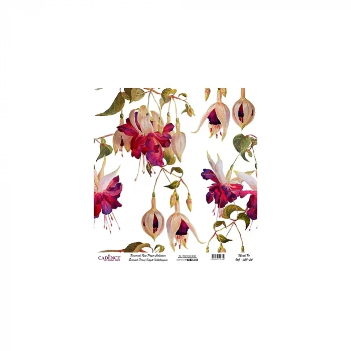 EVRENSEL PİRİNÇ KAĞIT KOLEKSİYON BEYAZ ZEMİN UC-029 30X30