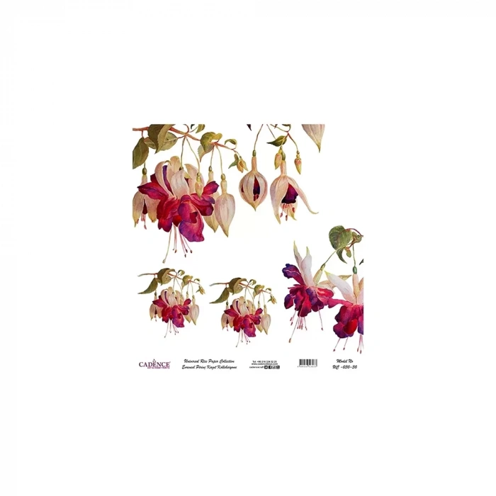 EVRENSEL PİRİNÇ KAĞIT KOLEKSİYON BEYAZ ZEMİN UC-030 30X30