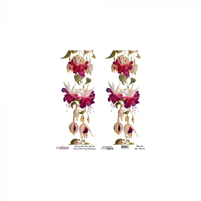 EVRENSEL PİRİNÇ KAĞIT KOLEKSİYON BEYAZ ZEMİN UC-032 30X30