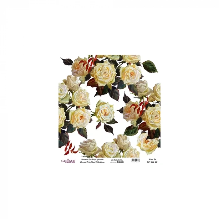 EVRENSEL PİRİNÇ KAĞIT KOLEKSİYON BEYAZ ZEMİN UC-064 30X30