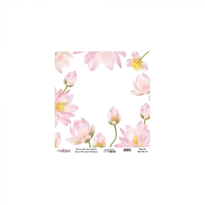 EVRENSEL PİRİNÇ KAĞIT KOLEKSİYON BEYAZ ZEMİN UC-083 30X30