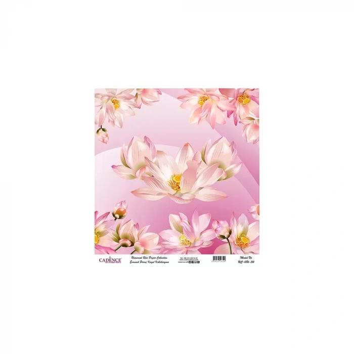 EVRENSEL PİRİNÇ KAĞIT KOLEKSİYON BEYAZ ZEMİN UC-086 30X30