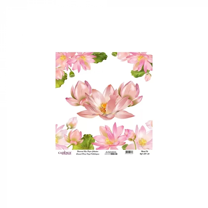 EVRENSEL PİRİNÇ KAĞIT KOLEKSİYON BEYAZ ZEMİN UC-087 30X30