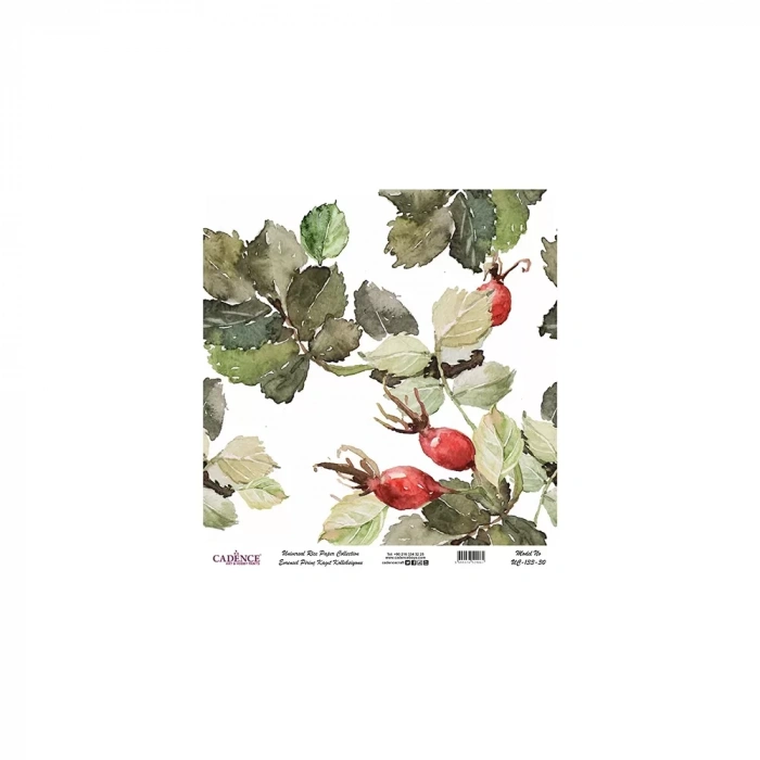 EVRENSEL PİRİNÇ KAĞIT KOLEKSİYON BEYAZ ZEMİN UC-133 30X30