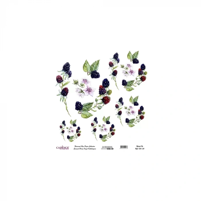 EVRENSEL PİRİNÇ KAĞIT KOLEKSİYON BEYAZ ZEMİN UC-134 30X30