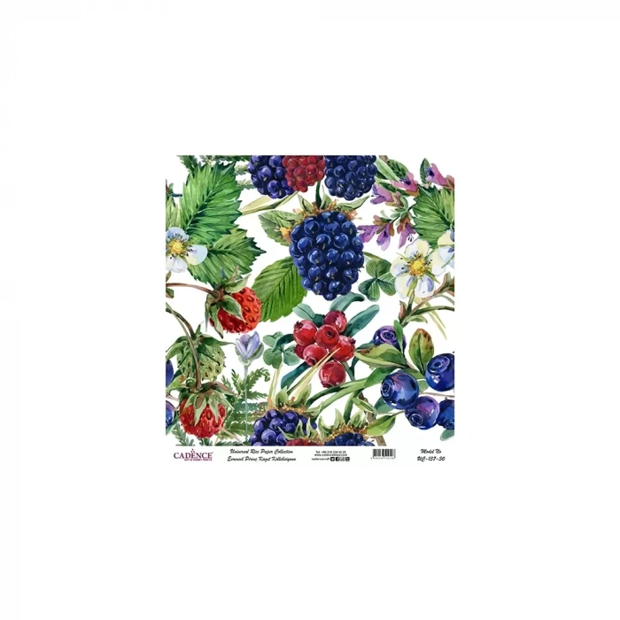 EVRENSEL PİRİNÇ KAĞIT KOLEKSİYON BEYAZ ZEMİN UC-137 30X30