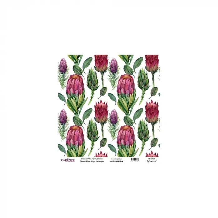 EVRENSEL PİRİNÇ KAĞIT KOLEKSİYON BEYAZ ZEMİN UC-143 30X30