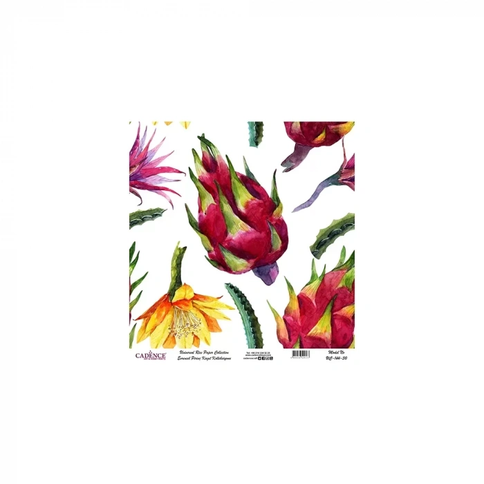 EVRENSEL PİRİNÇ KAĞIT KOLEKSİYON BEYAZ ZEMİN UC-144 30X30