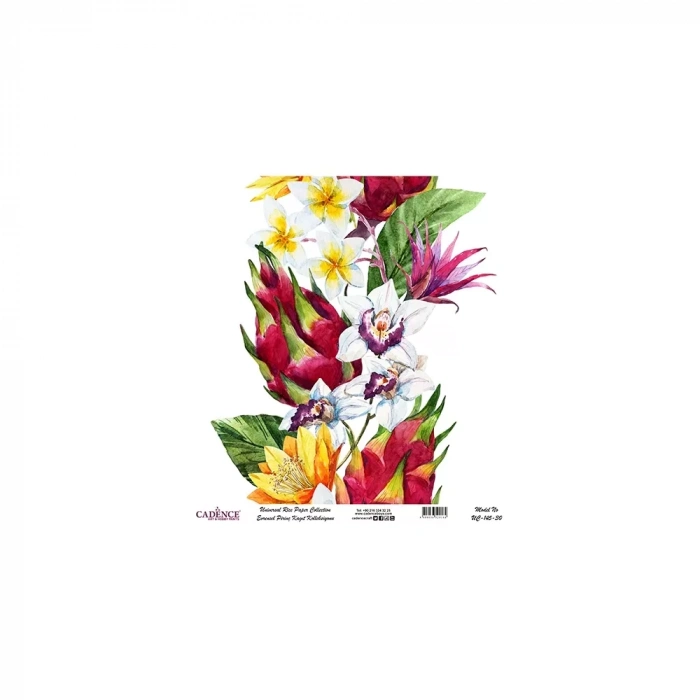 EVRENSEL PİRİNÇ KAĞIT KOLEKSİYON BEYAZ ZEMİN UC-145 30X30